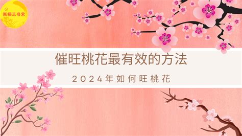 催桃花運|2024年催旺桃花最有效的方法